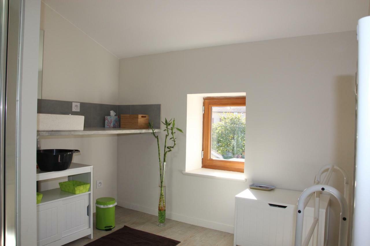 Grand Duplex Au Calme En Centre-Ville Villefranche-sur-Saône Esterno foto